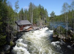Finlandia, Park Narodowy Oulanka, Rzeka, Zalesione, Brzegi, Domek