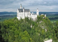 Niemcy, Bawaria, Zamek Neuschwanstein, Lasy, Drzewa