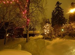 Zima, Dom, Oświetlone, Drzewa
