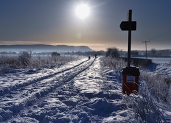 Droga, Śnieg, Krzewy, Słońce