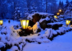 Lampy, Zima