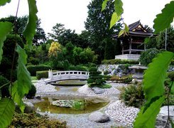 Japoński, Ogród