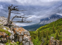 Góry, Lasy, Skały, Zachmurzone, Niebo, Suche, Drzewo