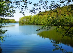 Wiosna, Jezioro, Drzewa
