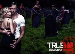 Czysta krew, True Blood, Bohaterowie