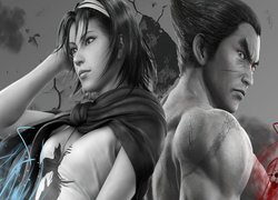 Tekken Tag Tournament 2, Jun Kazama, Kazuya Mishima