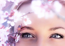 Oczy, Kobiety, Kwitnące, Drzewa
