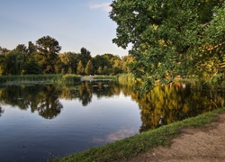 Park, Jezioro, Drzewo, Dróżka