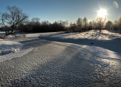 Zamarznięta, Rzeka, Słońce, Niebo, Drzewa