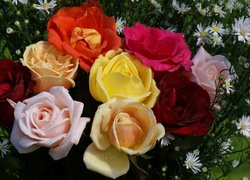 Bukiet, Kolorowych, Róż