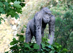 Posąg, Goryl, Stare Zoo, Poznań