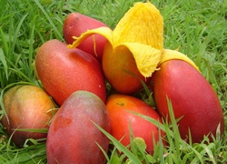 Stosik, Owoców, Mango