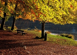 Jesień, Rzeka, Drzewa, Ławeczki