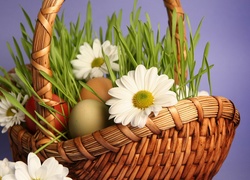Wielkanoc, Koszyk, Jajka, Margerytki