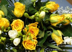 Żółte, Róże, Białe, Frezje