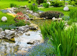 Ogród, Rzeczka, Kamienie, Kwiaty, Klomby
