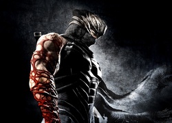 Ninja Gaiden, Ryu Hayabusa