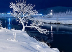 Jezioro, Drzewo, Zimowa, Noc