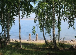 Jezioro, Kamienisty, Brzeg, Drzewa