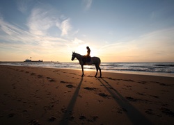 Morze, Plaża, Koń, Dziewczyna