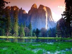 Stany Zjednoczone, Stan Kalifornia, Park Narodowy Yosemite, Łąka, Woda, Góry, Drzewa