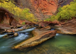 Stany Zjednoczone, Stan Utah, Park Narodowy Zion, Rzeka Virgin River, Skały, Drzewa, Kanion