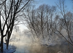 Drzewa, Rzeka, Mgła, Zima