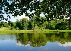 Park, Drzewa, Trawa, Jezioro, Odbicie