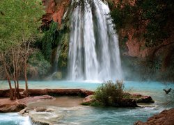 Wodospad, Havasu, Drzewa, Skały, Arizona
