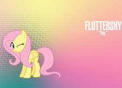 My Little Pony Przyjaźń To Magia, Fluttershy