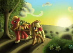 Big Macintosh, Applejack, Applebloom