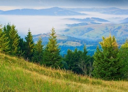 Góry, Lasy, Mgła, Panorama