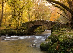 Rzeka, Park, Most