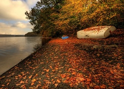 Jezioro, Plaża, Jesień