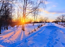 Zima, Wschód, Słońca, Drzewa, Droga