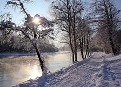 Rzeka, Drzewa, Śnieg, Zima