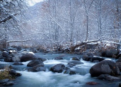 Rzeka, Kamienie, Drzewa, Zima
