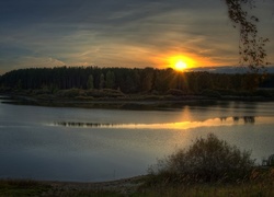 Jezioro, Lasy, Promienie, Słońca