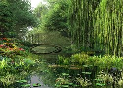Park, Rzeka, Mostek
