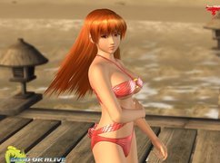 Dead Or Alive Xtreme 2, Kasumi