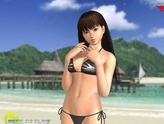 Dead Or Alive Xtreme 2, Lei Fang