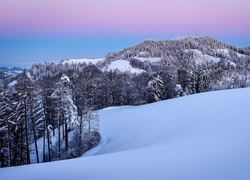 Las, Góry, Śnieg, Zima