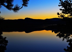Jezioro, Góry, Gałęzie, Zachód Słońca, Loon, Kalifornia