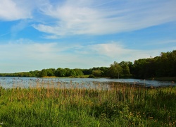 Jezioro, Łąka, Niebo, Drzewa