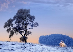 Zima, Śnieg, Drzewo, Kościółek