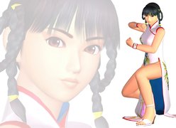 Dead Or Alive 3, Lei Fang