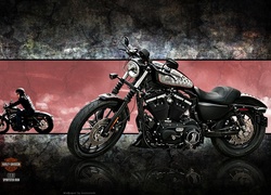 Harley-Davidson XL883N Iron, Motocykl, Motocyklista
