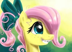 My Little Pony Przyjaźń To Magia, Fluttershy