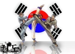 Tekken Tag Tournament 2, Hwoarang, Beak Do San