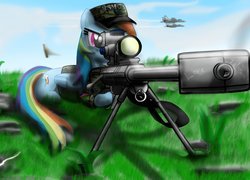 My Little Pony, Rainbow Dash